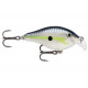 SCATTER RAP CRANK 05