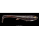Eastfield wingman 17cm 45g