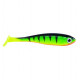 Jackson Active shad