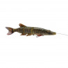 4D Line Thru Pike striped pike