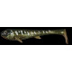 Eastfield wingman 21cm 80g weksell flake