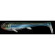 Eastfield wingman 21cm 80g weksell flake