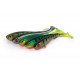 Super Slick Shad